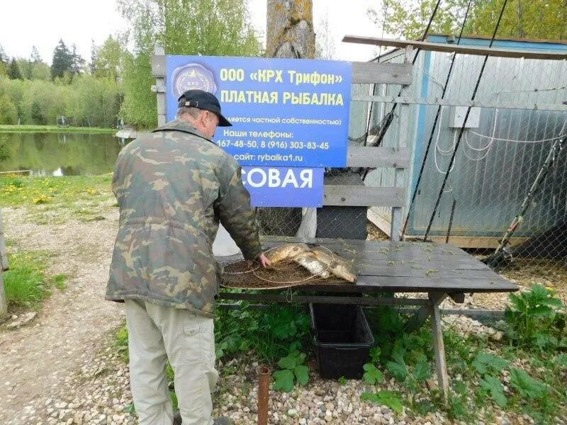 Платная рыбалка. Рыбалка в Костромской области. Кострома Рыбное платная рыбалка. Платная рыбалка в Калужской области. Платная рыбалка посейдон