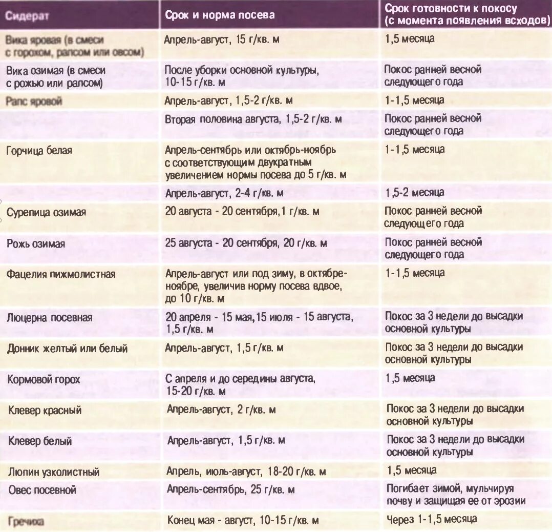 Сидерат таблица посева. Таблица высадки сидератов. Сроки созревания сидератов таблица. Таблица сидератов для овощных культур. Когда сажать сидераты