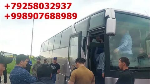 Новосибирск ташкент автобус