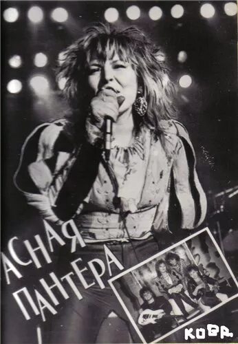 Группа красная пантера 9 букв. Группа pantera glam. Красная пантера группа. Pantera группа 1985. Группа pantera glam.