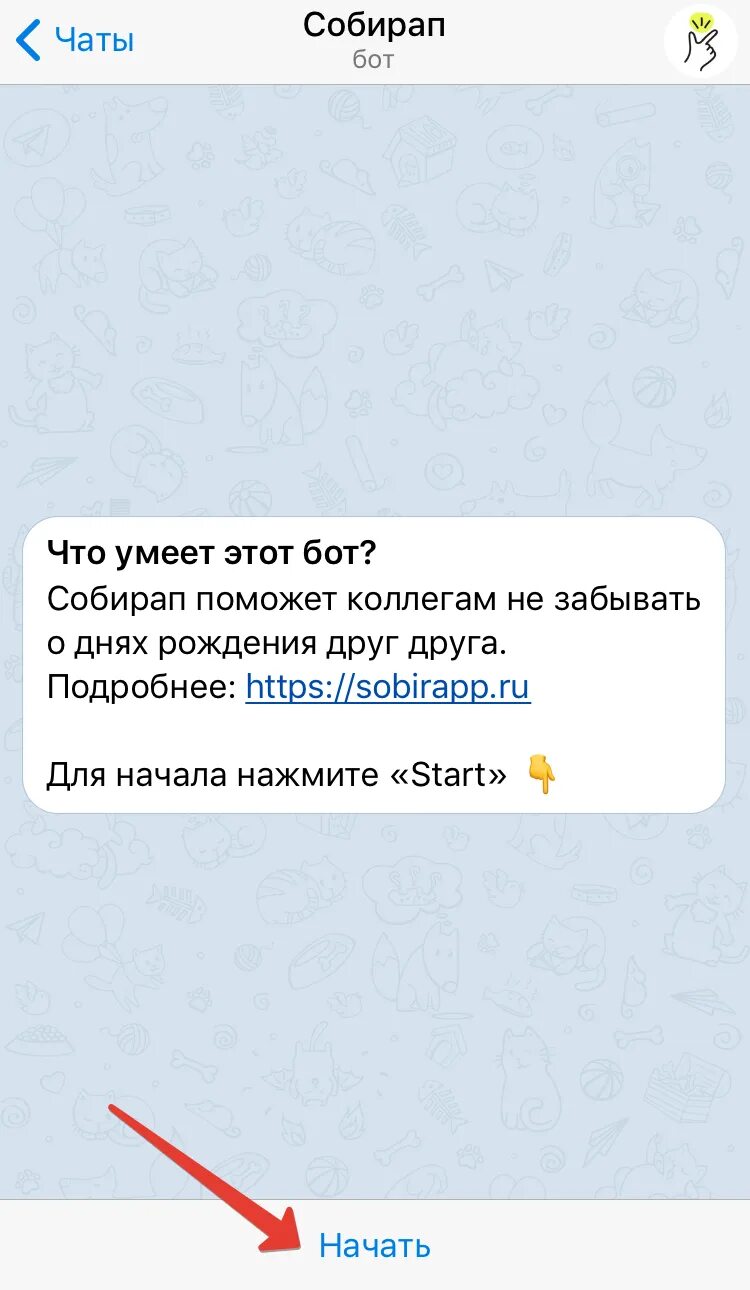 Как изменить дату рождения в телеграм