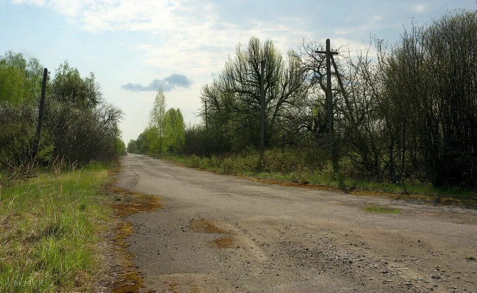 Зона отчуждения дороги. Дорога в чернобыль. Припять чернобыль чаэс зона отчуждения. Село толстый лес в чернобыльской зоне. Припять 1886.