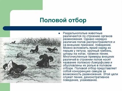 Однако нередко
