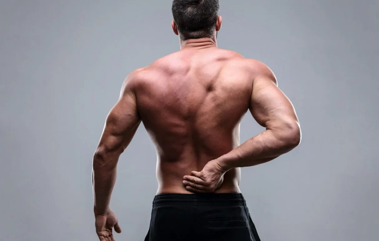 Мужская спина. Спина человека. Человек вид со спины. Man back. Мужская спина.