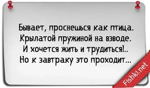 Смешные фразы про работу
