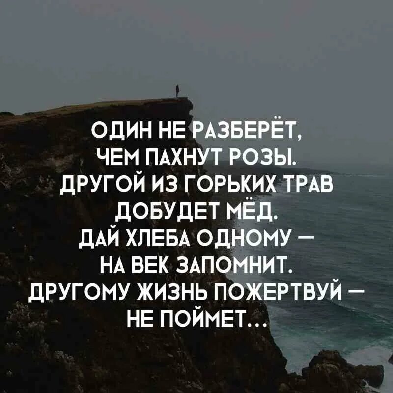 Один не разберет чем пахнут розы другой. Один не разбереш чем пахнут Оозы. Один не разберет чем пахнут розы. Один не разберет чем. Один не разберет чем пахнут розы другой из горьких трав добудет.