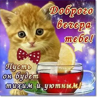 Интересные пожелания добрый вечер