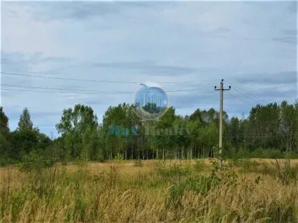 Погода в раслове