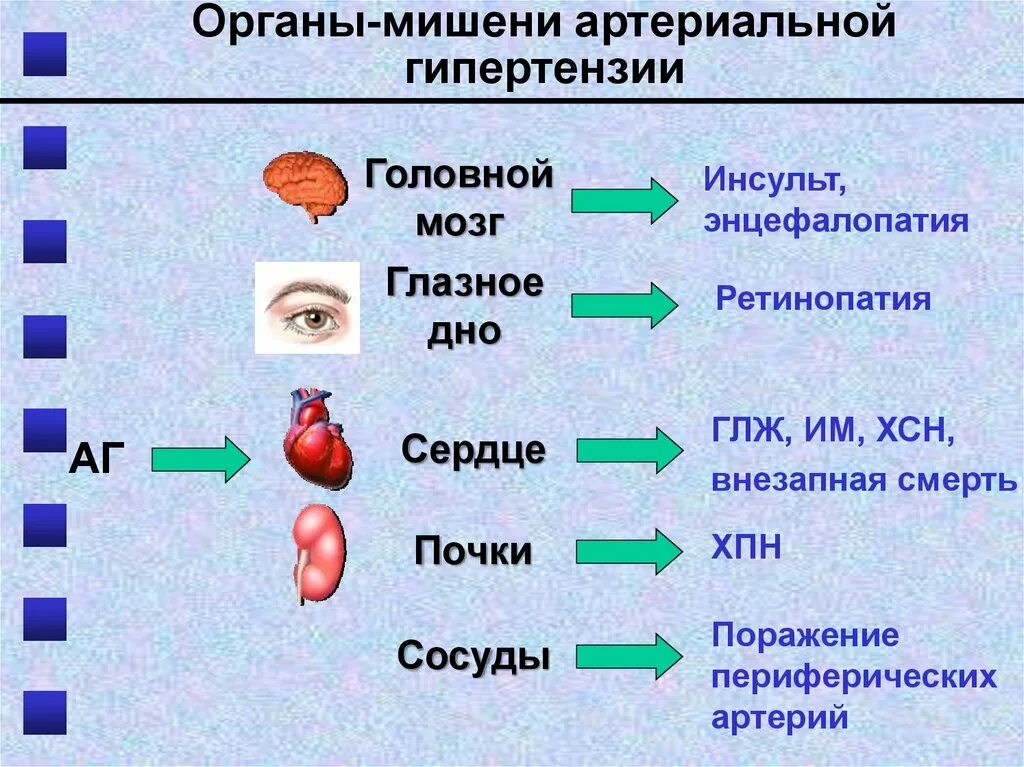 Органы мишени при гипертонической болезни. Поражение органов-мишеней при артериальной гипертонии. Поражение органов мишеней при гипертонической болезни. Органы мишени при артериальной гипертонии. Органы мишени при артериальной