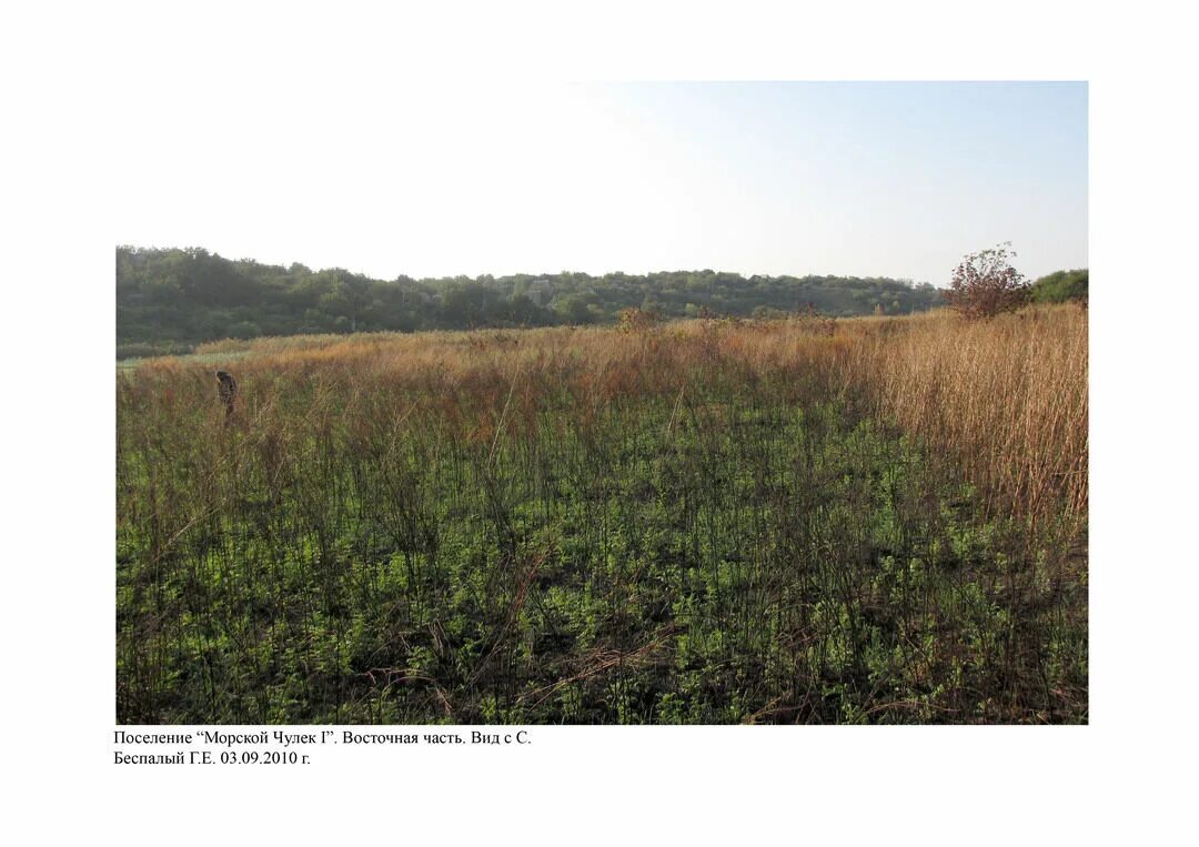 Хутор морской чулек ростовская область. Морской чулек ростовская область море. Х морской чулек неклиновский район ростовская область. Мокрый чулек. Донской чулек река.