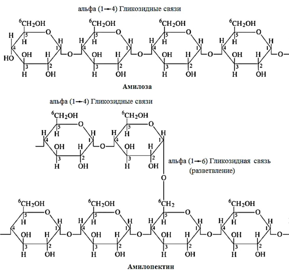 Альфа 1 4 гликозидные связи. Альфа-(1-4) Тип гликозидной связи. Крахмал формула 1-6 гликозидная связь. Альфа 1 1 гликозидная связь. Альфа 1а