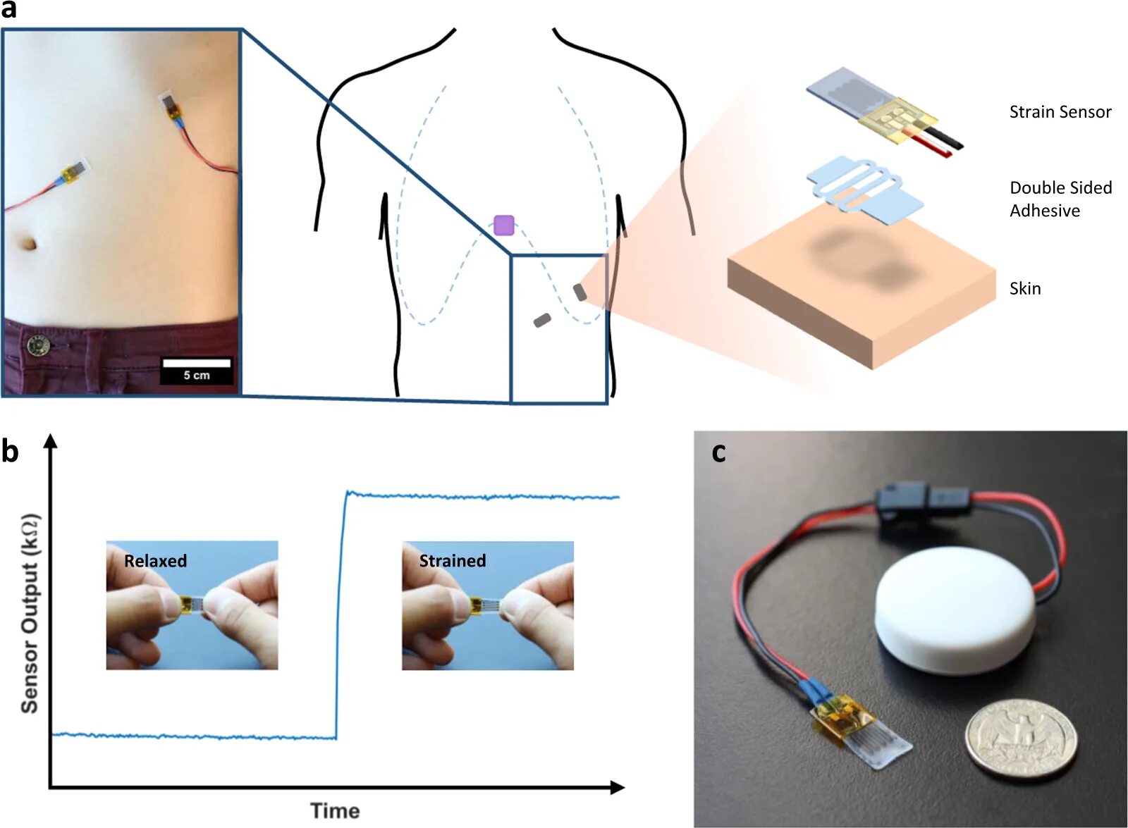 Сенсор это. Сенсоры для получения медицинской информации. wearable electrodes on leaves для растений. respiration-sensor. respiration rate sensor.