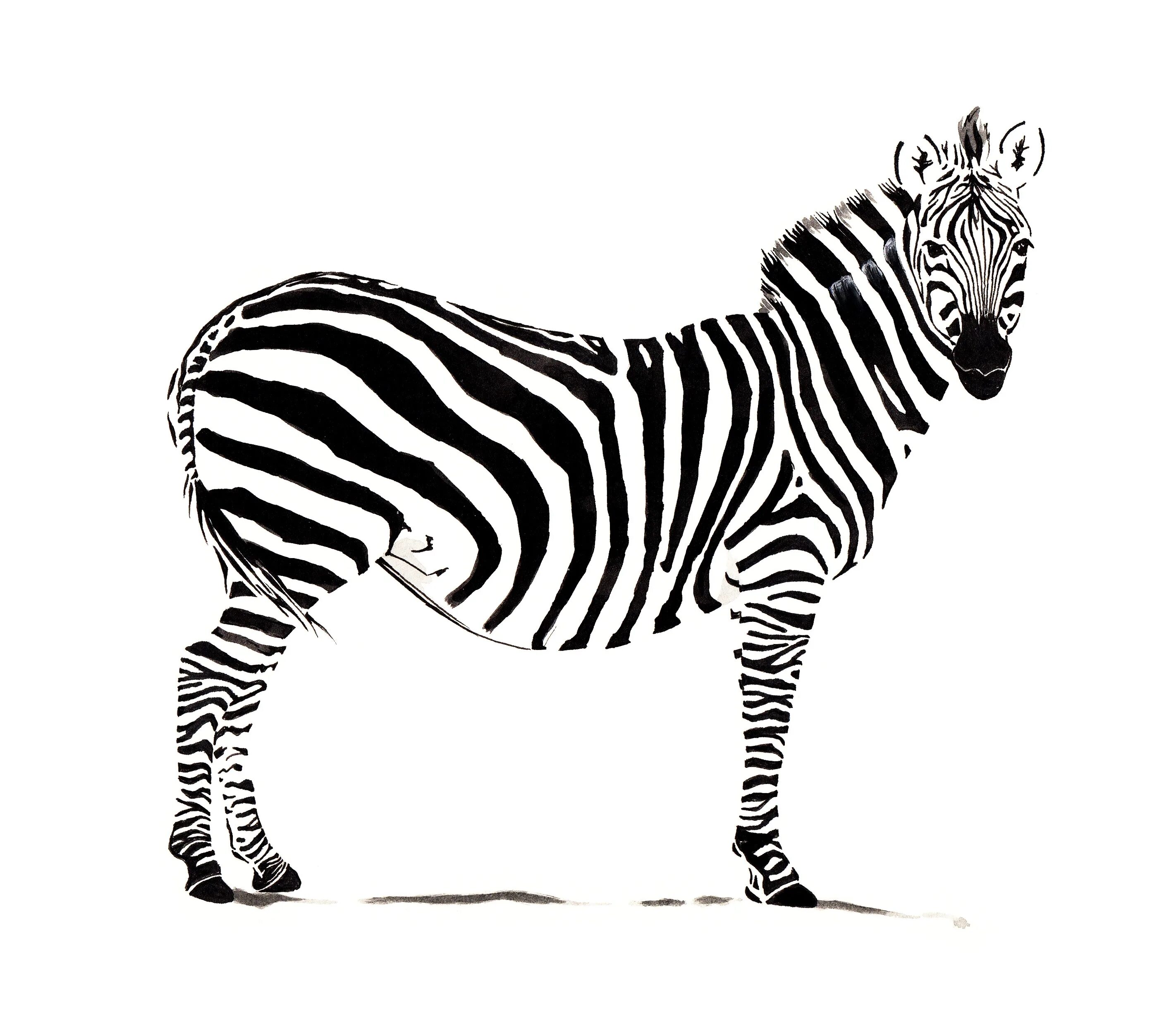 Zebra line
