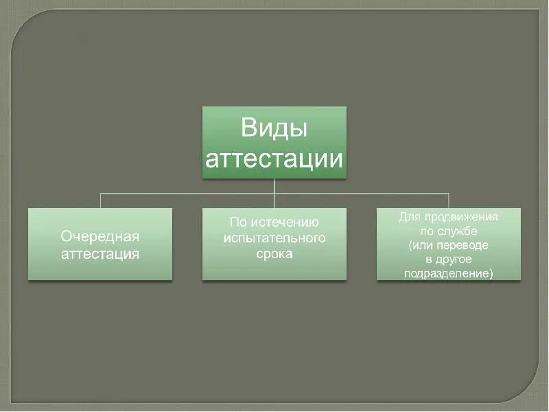 Виды аттестации персонала. Виды переаттестации. Цели аттестации по истечении испытательного срока.