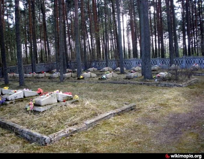 Ленинградская обл. Большая ижора погода сегодня. Большая ижора пляж. Птицы в большой ижоре. Большая ижора погода сегодня.