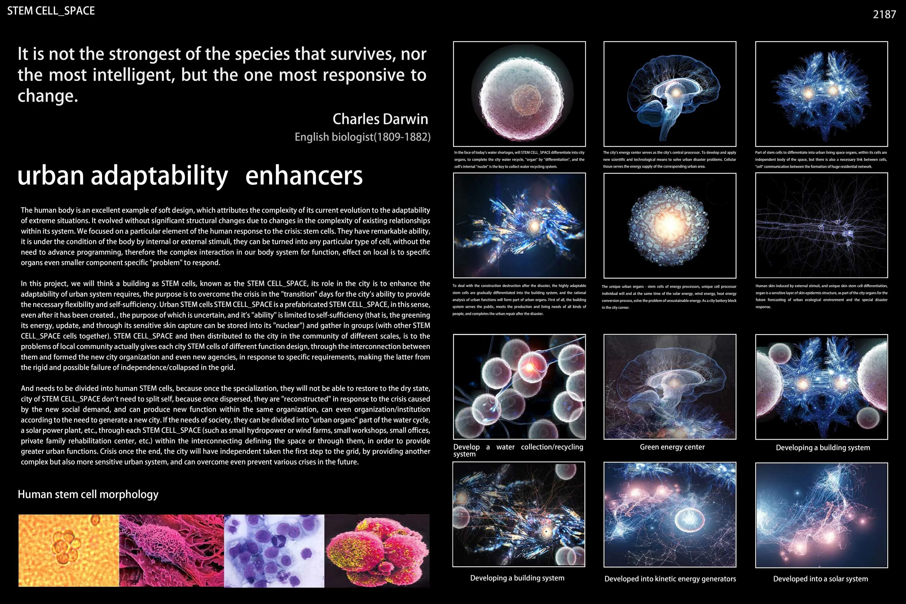 Cellular space. Атом космос клетка. the interconnectedness of space and forecast.. origin variety universe cell.