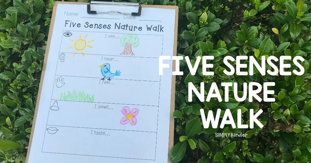 Write about walking