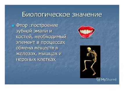 Биологическое значение цветов