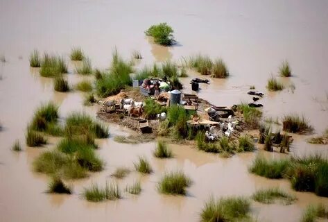 Flooded area