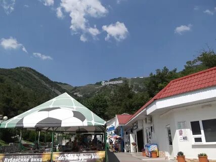 Лотос дивноморское отзывы