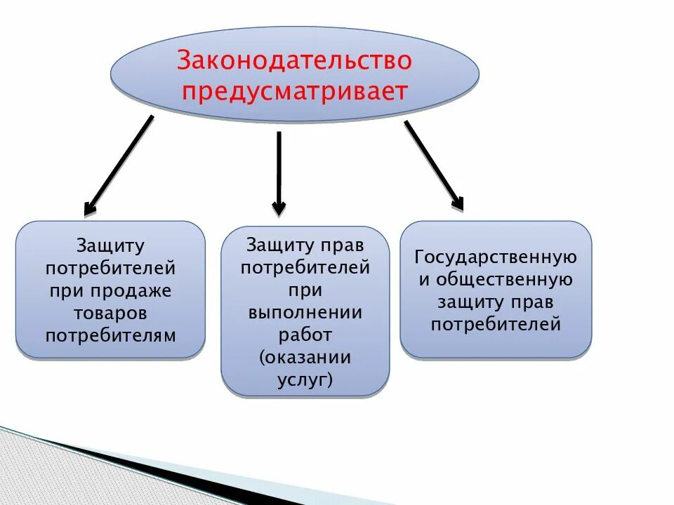 Почему животных объединяют в группу потребителей кратко. Государственная и общественная защита прав потребителей кратко. Государственная защита прав потребителей кратко. Защита прав рационального потребителя.