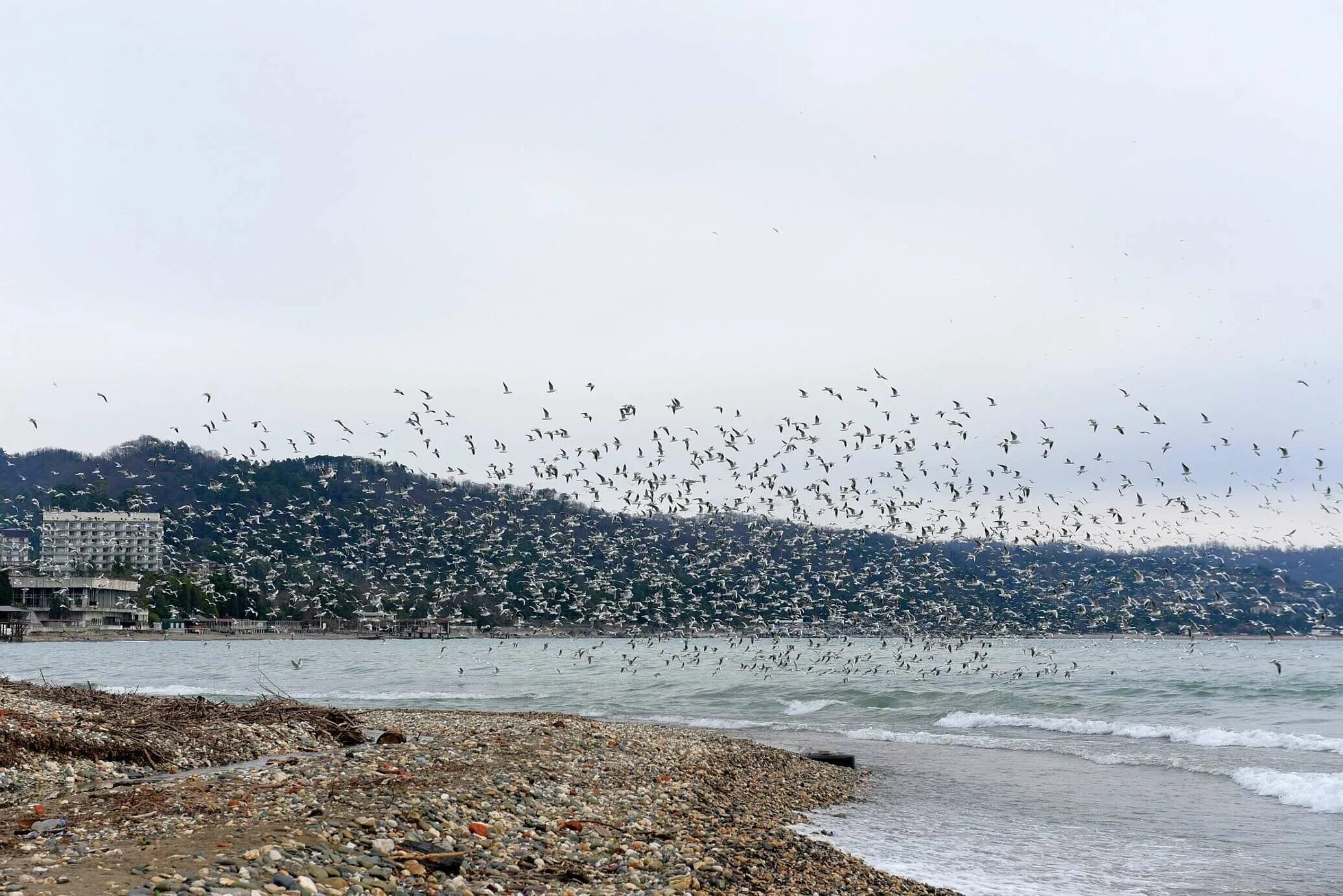 Погода в сухуми на самый точный. Абхазия черное море. Дожди в Абхазии. Климат Абхазии. Абхазия осадки.