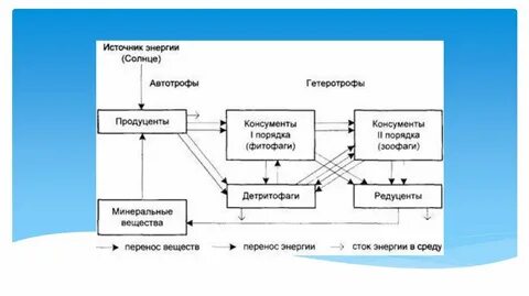 Источник энергии автотрофов