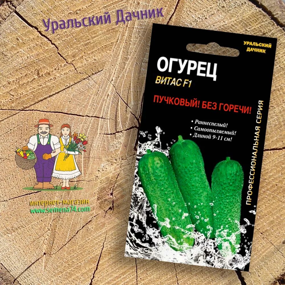 Семена уральский дачник. Магазин семена 74 уральский дачник. Дачник омск каталог. Огурцы уральский дачник. Семена 74 уральский дачник интернет магазин каталог.
