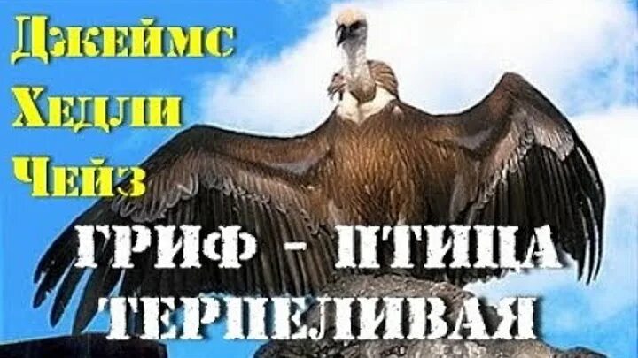 Гриф исполнитель. Гриф птица терпеливая книга.