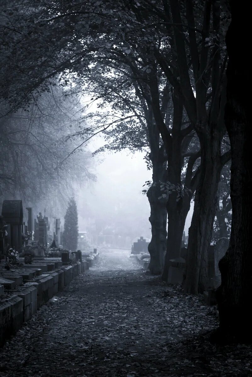Meet you at graveyard