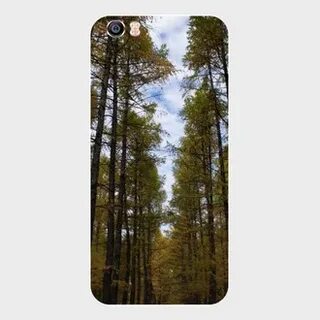 Xiaomi forest