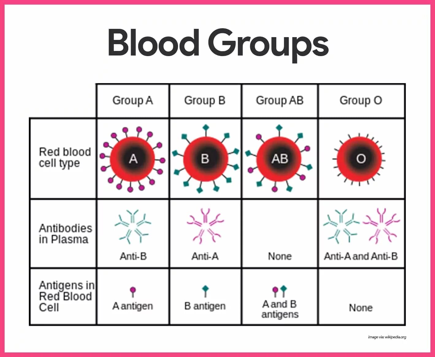 Как по английски кровь. Blood Type. Blood Group Types. Abo Blood Group. Ab Blood Type.