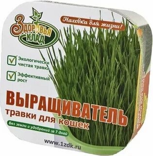 Травки для здоровья