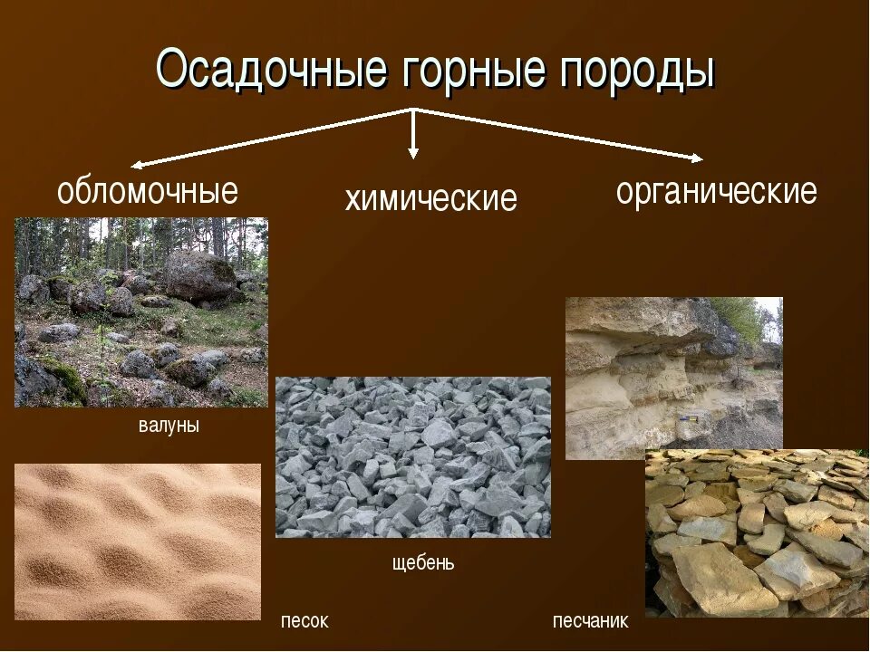 Осадочные горные породы обломочные химические органические. Осадочные горные породы 5 класс география. Осадочных горные ПОРОДЫПОРОД. Осдачное горное парода.