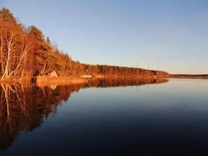 Погода в районе зеркального