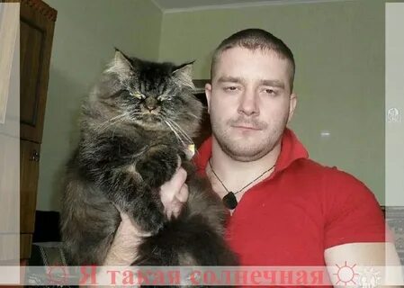 Хозяев даже в самый