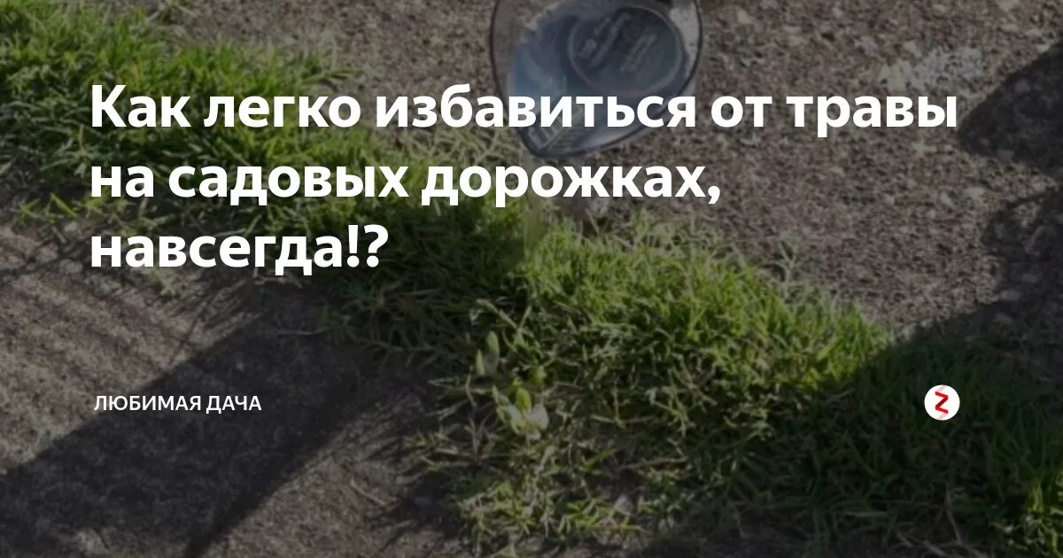 От сорняков на кладбище навсегда лучшее средство. Отрава от сорняков на кладбище. жидкость от сорняков на кладбище. лучшее средство от сорняков на кладбище. извести траву на кладбище.