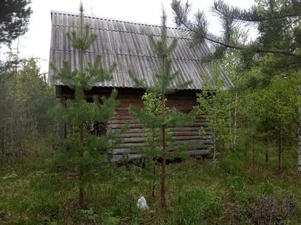 Погода в аяти свердловской