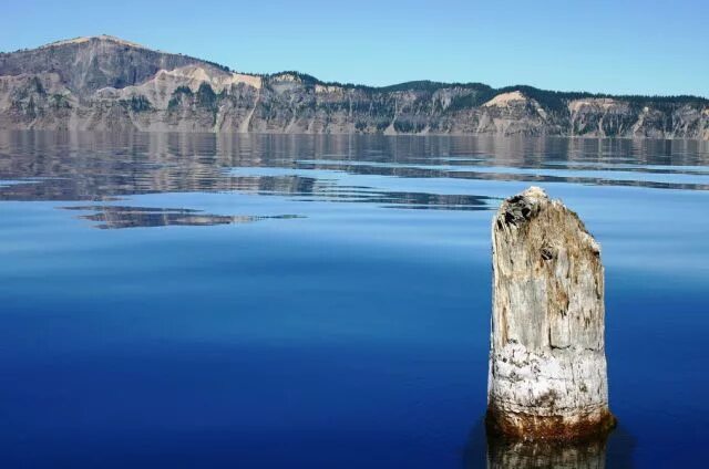 Озерный старик озера крейтер. Озеро старик. Озеро крейтер бревно. Озерный старик озера крейтер. Озеро старик.