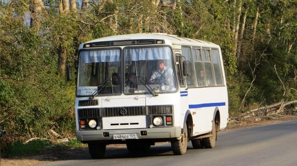 ПАЗ 3205. ПАЗ 3205 В Чайковском Пермский край. ПАЗ 32054 Пермский край. ПАЗ 32054 желтый.