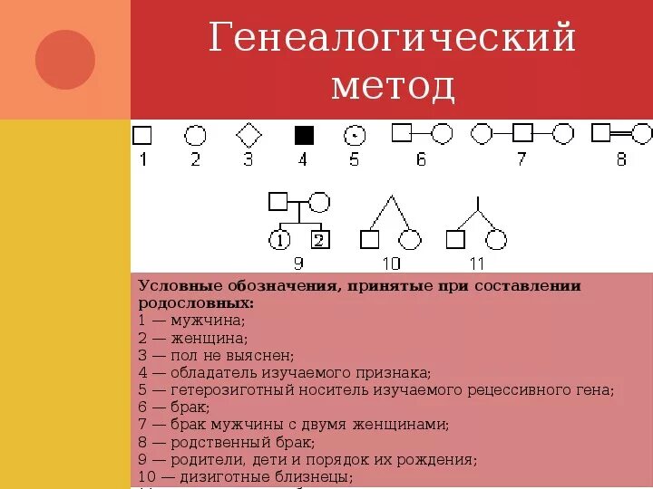 Символы генетики 10 класс. Генеалогический метод условные обозначения. Генеалогический метод рисунок. Генеалогический метод в биологии. Условные обозначения при составлении родословных.