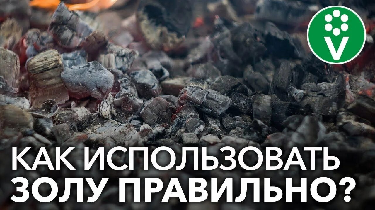 Как правильно использовать золу. Зола после сжигания угля. зола чем опасна. куда можно использовать золу от угля.