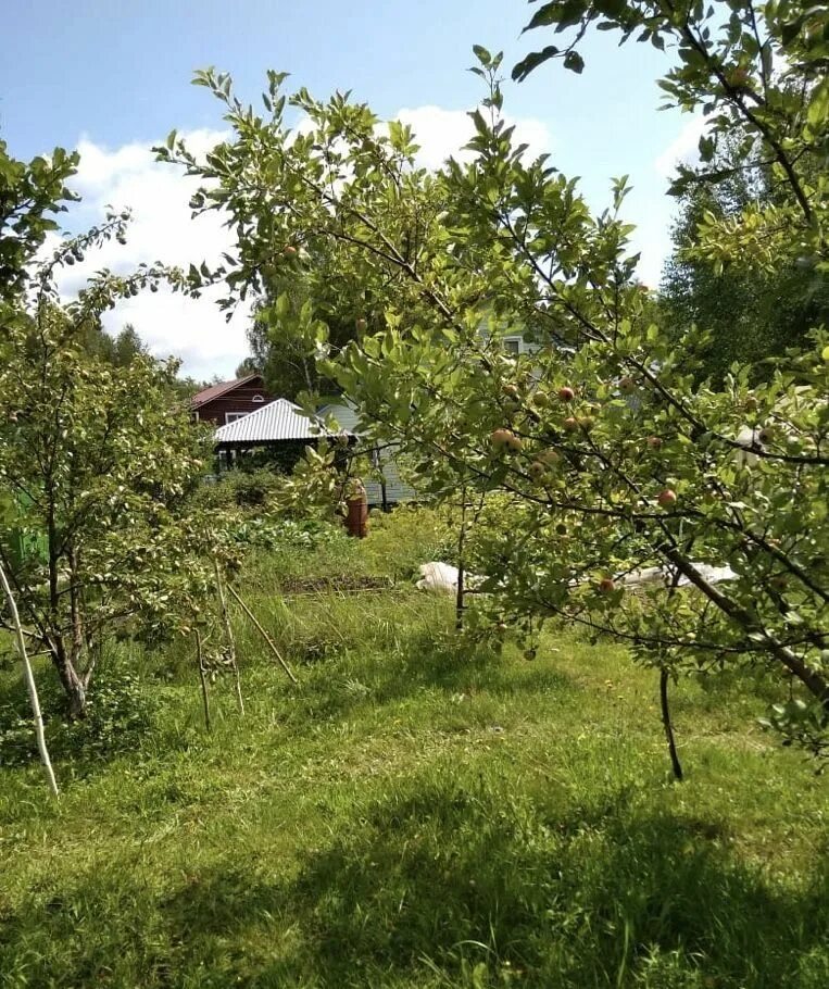Снт ветерок. Снт ветерок петрозаводск. Снт ветерок казань. Снт ветерок богородское казань на карте. Товарищество ветерок.