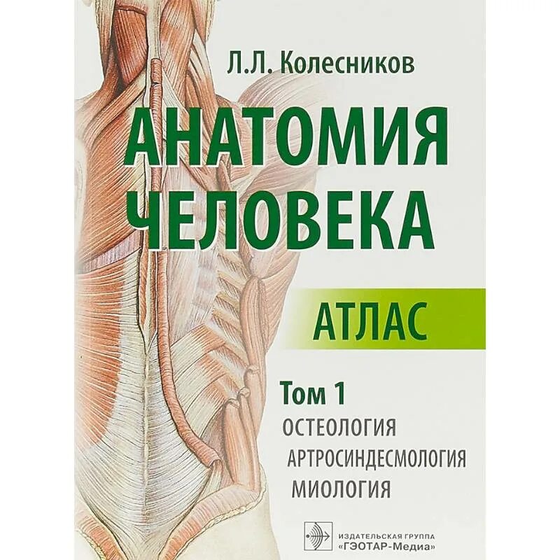 Анатомия авторы книг. Анатомия человека. В 3-Х томах. Том 1. Остеология, артросиндесмологи. Атлас анатомии человека в 3-х томах.