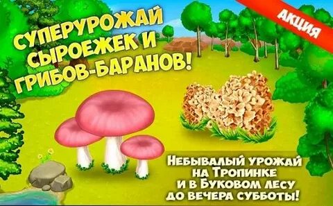 Грибы и кланы