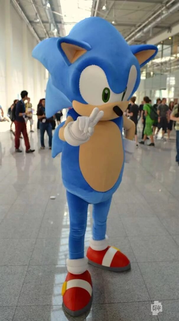 Соника аниматор соник. Соник костюм аниматора. Аниматор соник на день рождения. Соник костюм аниматора. Аниматор sonic boom.