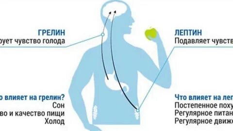 Постоянное чувство голода