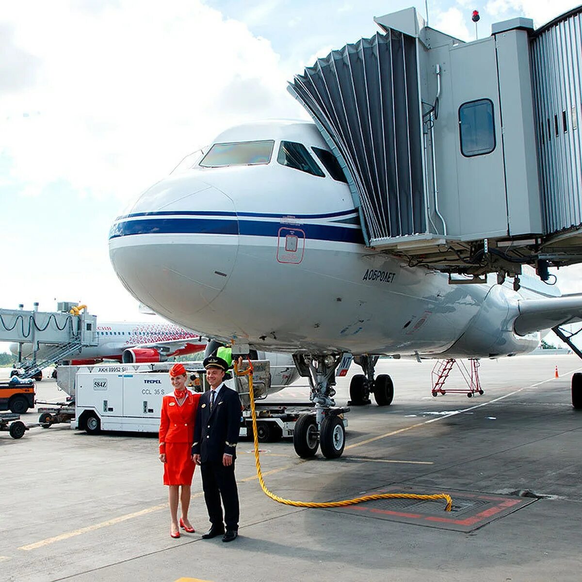 Мс-21 выкатка. Почему растет самолет. Мс-21 пассажирский самолёт. Мс-21 пд-14. Самолёт мс 21 300.