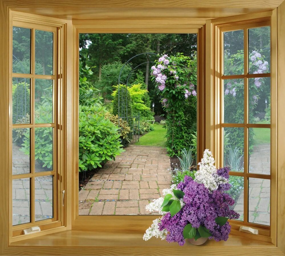 The windows is open