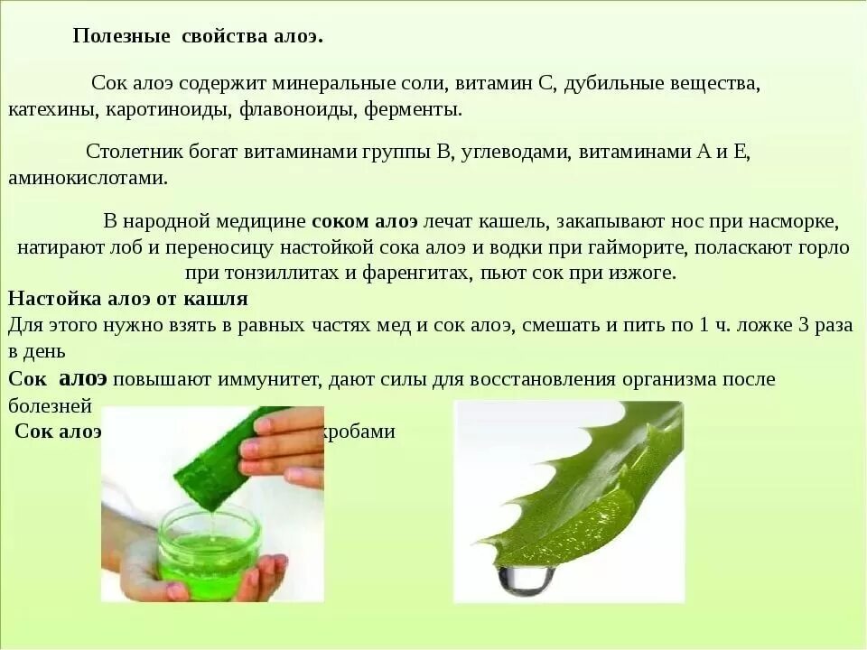 Aloe vera как пользоваться. Алоэ от насморка для детей. Лекарство из алоэ. Сок алоэ от насморка для детей. Полезное из алоэ.